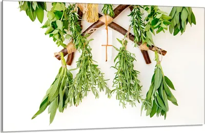Produktbild von Herdabdeckplatte 80x52cm 1-teilig Glaskeramikkochfeld-Abdeckung Spritzschutz, Gewürze Grün