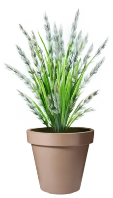 Produktbild von Pro Garden Blumentopf - mokkabraun - rund - D30 cm - Kunststoff - Pflanztopf - Garten im Freien
