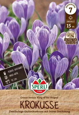 Produktbild von SPERLI Premium Gartenkrokus King of the Striped Crocus vernus 15 Zwiebeln