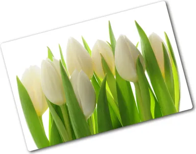 Produktbild von Tulup Glas Herdabdeckplatte - 80x52 cm - Glaskeramikkochfeld-Abdeckung Spritzschutz Glasabdeckplatte - Einteilig - Blumen & Pflanzen - Tulpen - Grün