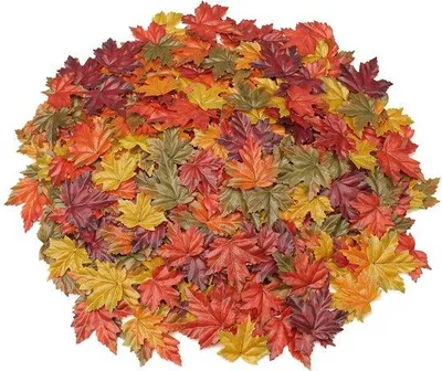 Image de Feuilles décoratives d'automne, assorties, différentes tailles, à faire soi-même