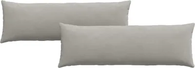 Immagine prodotto di vidaXL Cuscini per divano, 2 pezzi, tessuto, grigio chiaro, 120 x 40 cm