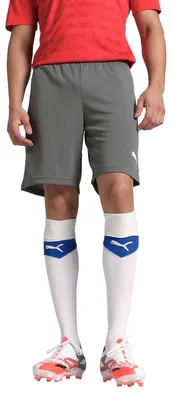 Zdjęcie produktu dla Puma Kalhoty Teamrise, 70494213, Rozmiar: 188
