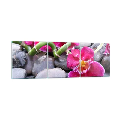 Produktbild von Bilder auf glas - Asiatisch bambus orchidee steine - 150x50cm - Glasbilder - Wandbilder - Kunstdruck - zum Aufhängen bereit - Wanddekoration aus Glas - Glas Bilder - Wandbild auf Glas - GCA150x50-0465
