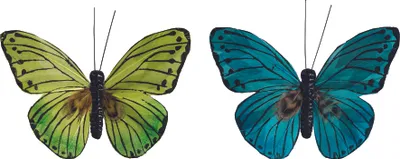 Produktbild von 6XKNORR prandell 218030909 Schmetterling grün 9