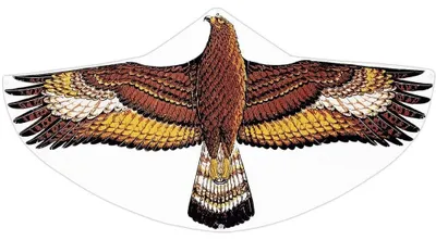 Produktbild von Drachen Kinderdrachen Einleiner - 122 x 68 cm - Steinadler-Motiv - Ab 4 Jahren