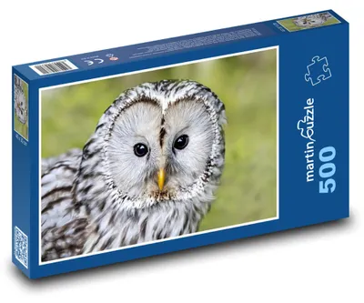 Obrázok produktu pre martinpuzzle - Puzzle 500 - Puštík - sova