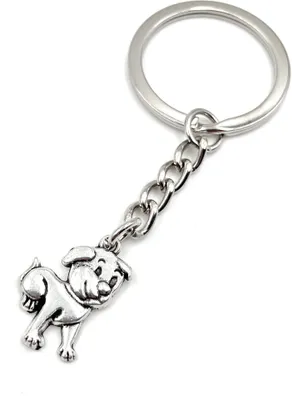 Produktbild von Onwomania Freuender Hund Sitz Schlüsselanhänger Metall Glücksbringer in Alu Geschenkbox, ideal zum Verschenken