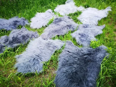 Produktbild von ECHTE ÖKO ISLAND SCHAFFELLE SCHAFFELL LAMMFELL FELL ca.110cm GRAU  SCHÄPPCHEN
