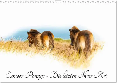 Produktbild von Exmoor Ponnys - Die letzten Ihrer Art (Wandkalender 2025 DIN A3 quer), CALVENDO Monatskalender