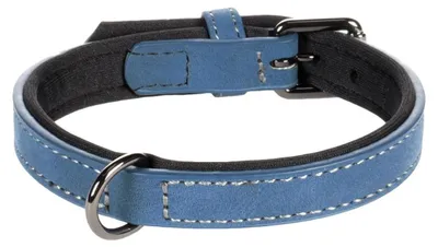Image de Collier pour chien avec doublure néoprène