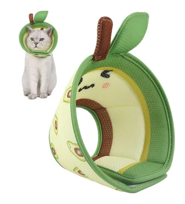 Produktbild von Tierkastration für Katzen