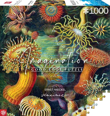 Zdjęcie produktu dla Cenega Imagination, 1000 szt., Artystyczny