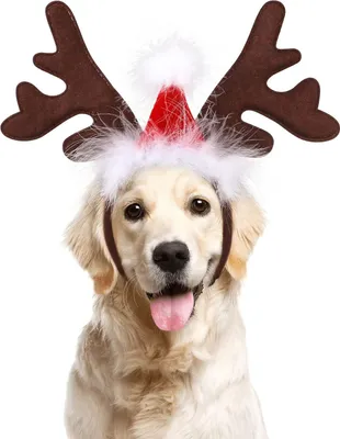 Produktbild von Haustier Stirnband Weihnachten Rentier Geweih Stirnband mit Weihnachtsmš¹tze Weihnachtskostš¹m fš¹r Haustier Hund Katze
