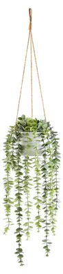 Produktbild von aplanta Künstliche Hänge-Eukalyptus – Philemon | 95 cm, inkl. Dekotopf, für drinnen, Kunstpflanze, wie echt, Allergiker geeignet, pflanzliche Dekoration Praxis, Office & Wohnzimmer