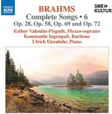 Obrázek produktu pro Sämtliche Lieder Vol.6 (Naxos-Edition)
