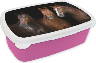 Produktbild von KitchenYeah® Lunchbox Brotzeit Brotdose 17x11 cm Pferde - Tiere - Schwarz - Porträt Kinder Brotzeitdose - Lunchpaket - Brotkasten  - Sandwich Box