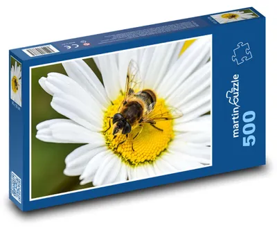 Zdjęcie produktu dla martinpuzzle - Puzzle 500 - Pszczółka na kwiatku