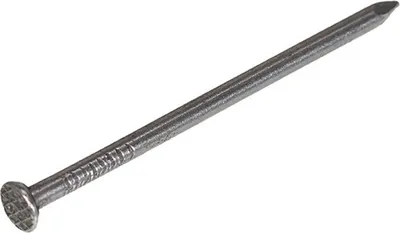 Productafbeelding van Homefix Draadnagel, verzinkt, verpakking van 5,0 x 125 mm (1 kg)