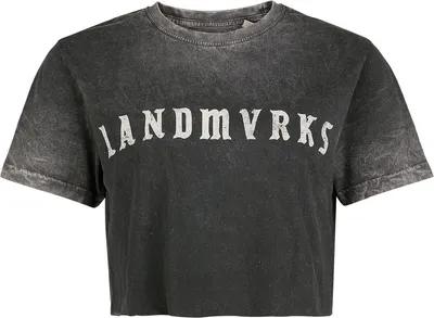 Produktbild von Landmvrks T-Shirt Damen Vintage Dagger grau Band-Merch, Bands 100% Baumwolle L