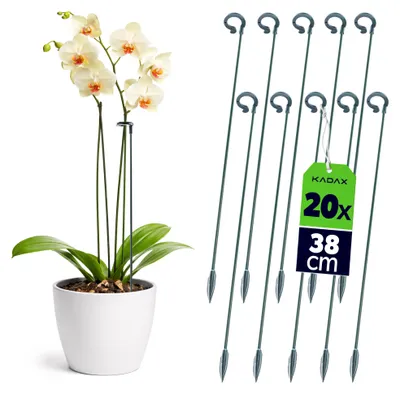 Produktbild von KADAX Blumenstützen 38 cm, 20er Set, Orchideenstäbe zur Stabilisierung von Stängeln und Blüten, Pflanzstäbe aus Glasfaser & Kunststoff, Rankhilfe für Orchideen