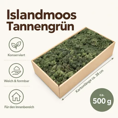 Produktbild von Islandmoos 500 g in über 30 Farben, konservierte Rentierflechte Deko Basteln, Farbe:Tannengrün