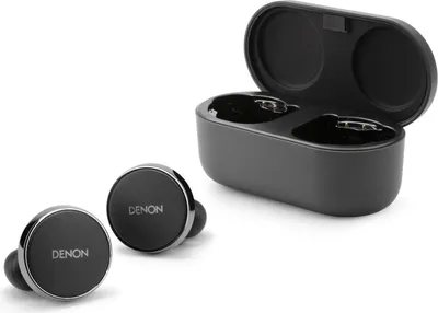 A pair of black wireless earbuds with silver accents and a black charging case are shown on a white background.
