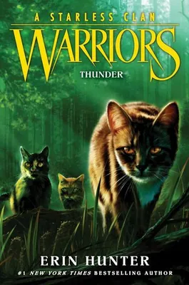 Obrázok produktu pre Warriors