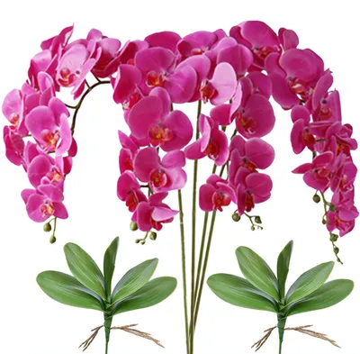 Produktbild von FagusHome Künstliche Phalaenopsis-Blumen, 81,3 cm, 4 Stück mit 2 Bündeln, Blätte