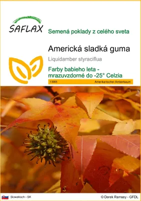 Obrázok produktu pre SAFLAX - Americká sladká guma - Liquidamber styraciflua - 100 Semená