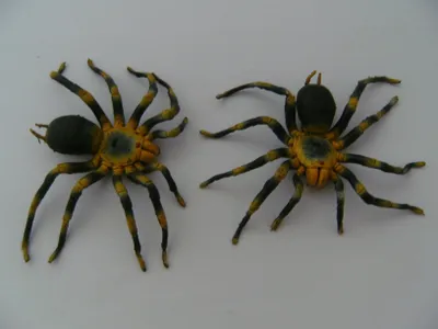 Produktbild von Spinnen Gummispinnen 2erSet je ca. 14 cm, Tarantel Vogelspinnen Spinne Spieltiere