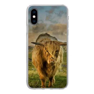 Produktbild von MuchoWow® Handyhülle Schutzhülle Hülle für iPhone X Schottischer Highlander - Gras - Berg Silikon Softcase Handy Hülle - Handyhülle