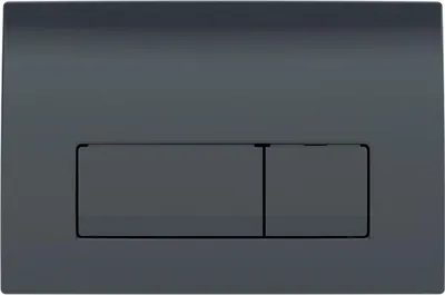 Produktbild von Geberit Delta50 Betätigungsplatte, vorne, schwarz RAL 9005, rechteckig