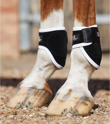 Obrázok produktu pre Premier Equine Bi-polar Magni-teque chrániče šliach na kopytách, viacfarebné  Viacfarebné, univerzálna veľkosť