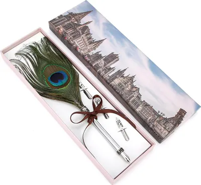 Obrázek produktu pro Vintage Style Calligraphic Feather Pen Kit Business Gift Student Pen Gift Box Table DecorationType 1
