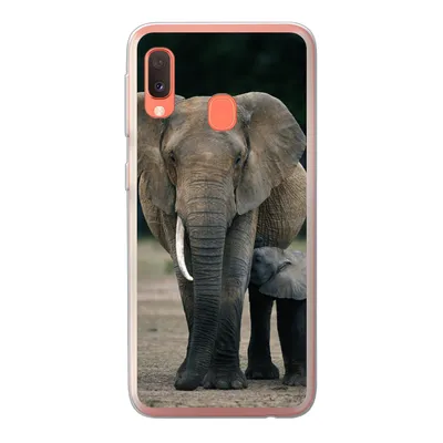 Produktbild von MuchoWow® Handyhülle Schutzhülle Hülle für Samsung Galaxy A20e Elefant - Tiere - Flachland - Natur Silikon Softcase Handy Hülle - Abdeckung