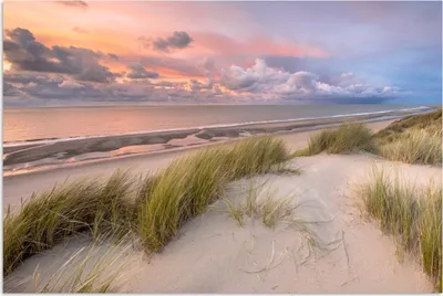Produktbild von MuchoWow® Poster Strand - Meer - Dünen - Niederlande - Rosa 60x40 cm - Schlafzimmerdekoration