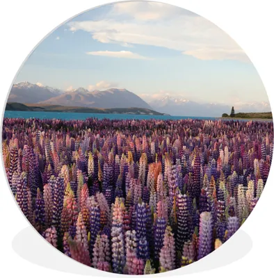 Produktbild von MuchoWow® Rundes Wandbild - Runde Bilder Berge - Blumen - Neuseeland Ø 30 cm Kreis Wanddekoration Kunststoff - Wandkreis - Wandschmuck - Schlafzimmer - Bilder - Der Kreis - Kunst für die Wohnung - Plastik - Kunstdruck - Wandbild