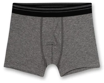 Immagine prodotto di Pantaloncini sportivi grigi per ragazzi, con elastico in vita | Biancheria intima per bambini