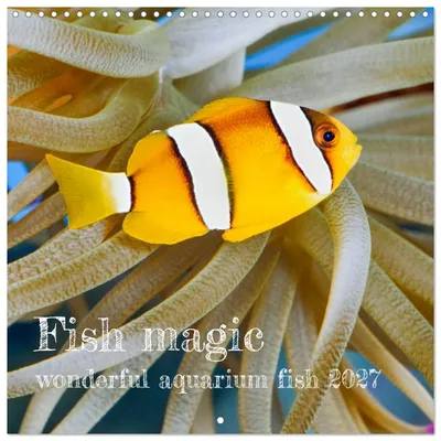 Produktbild von Fischmagie (Wandkalender 2027 12 × 12 Zoll) CALVENDO 12-Monats-Wandkalender