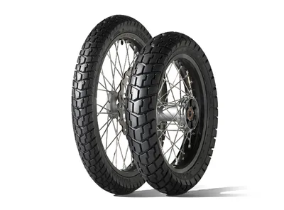 Image de Dunlop Trailmax 140/80 - 17 Tt 69H Rear