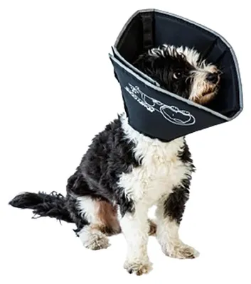 Immagine prodotto di All Four Paws Collare per animali domestici Comfy Cone S 14 cm Nero