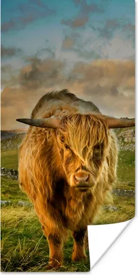 Produktbild von MuchoWow® Poster Schottischer Highlander - Gras - Berg 20x40 cm - Plakat - Foto