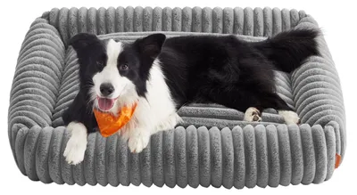 Produktbild von Feandrea Hundebett, großes orthopädisches Hundekörbchen, 106 x 75 x 20 cm – Größe L 106 x B 75 x H 20 cm, Taubengrau