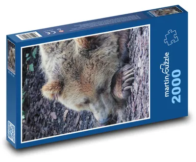 Obrázek produktu pro martinpuzzle - Puzzle 2000 - Spící medvěd