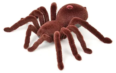 Produktbild von Aga Ferngesteuerte Spinne TARANTULA Braun