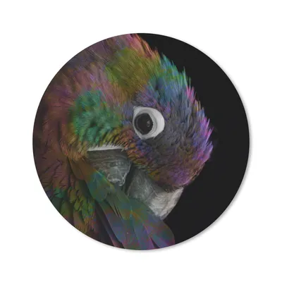 Produktbild von MuchoWow® Mauspad Mousepad Papagei - Regenbogen - Schwarz 50x50 cm - Mousepads - Maus Mat - Pad - Mausunterlage - Vinyl