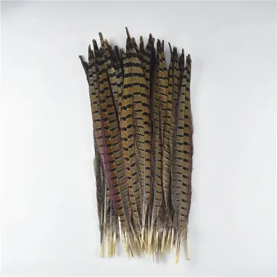 Obrázek produktu pro Bažantí ocasní pero 40-45 cm / 1ks