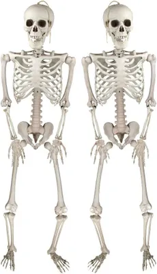 Immagine prodotto di Scheletri realistici per Halloween, confezione da 2 pezzi. Decorazioni a forma di scheletro bianco, adatte per interni ed esterni, ideali per feste di Halloween