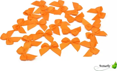 Produktbild von Satinschleifen 25mm, 20 Stück, Farbe:orange 668